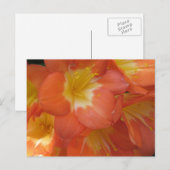 Oranje en gele bloemen in Longwood Gardens, PA Briefkaart (Voorkant / Achterkant)
