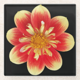 Oranje en Gele Collarette Dahlia Bloem Glazen Onderzetter
