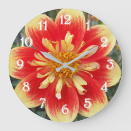 Oranje en Gele Collarette Dahlia Bloem Grote Klok