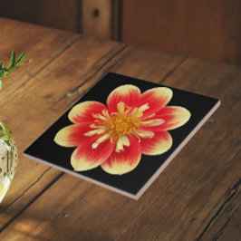 Oranje en Gele Collarette Dahlia Bloem Tegeltje