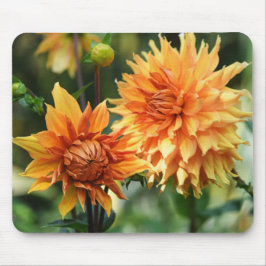 Oranje en gele Dahlia Flowers in Wisley Gardens Muismat