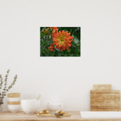 ORANJE EN GELE DAHLIA POSTER (Keuken)