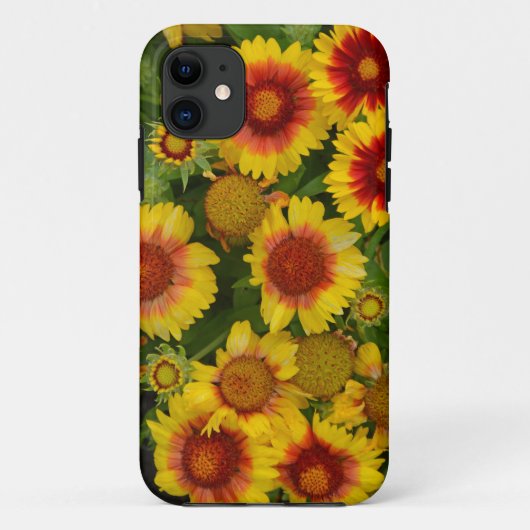 Oranje en gele echinacea florale flacon Case-Mate iPhone case (Achterkant)
