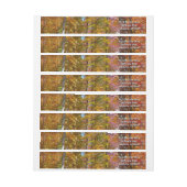 Oranje en gele Herfst Trees herfst Fotografie (Vel)