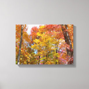 Oranje en gele Herfst Trees herfst Fotografie Canvas Afdruk