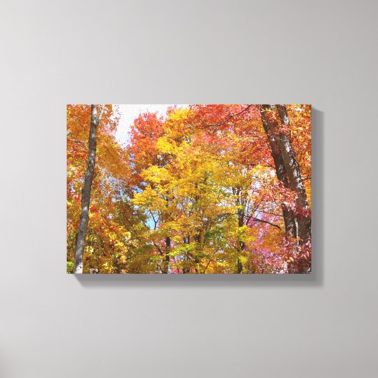 Oranje en gele Herfst Trees herfst Fotografie Canvas Afdruk (Voorkant)