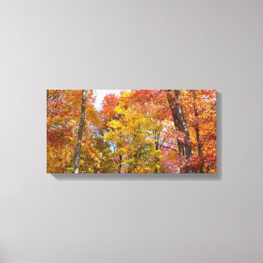 Oranje en gele Herfst Trees herfst Fotografie Canvas Afdruk (Voorkant)