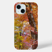 Oranje en gele Herfst Trees herfst Fotografie Case-Mate iPhone Case (Achterkant)