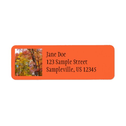 Oranje en gele Herfst Trees herfst Fotografie Etiket (Voorkant)