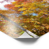 Oranje en gele Herfst Trees herfst Fotografie Foto Afdruk (Hoek)