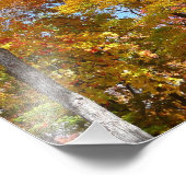 Oranje en gele Herfst Trees herfst Fotografie Foto Afdruk (Hoek)