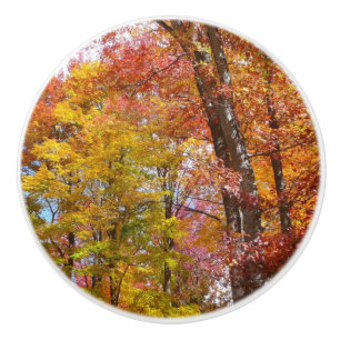 Oranje en gele Herfst Trees herfst Fotografie Keramische Knop
