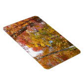 Oranje en gele Herfst Trees herfst Fotografie Magneet (Rechterzijde)