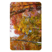 Oranje en gele Herfst Trees herfst Fotografie Magneet (Verticaal)