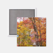 Oranje en gele Herfst Trees herfst Fotografie Magneet (Voorkant / Achterkant)