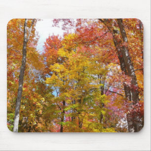 Oranje en gele Herfst Trees herfst Fotografie Muismat