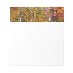 Oranje en gele Herfst Trees herfst Fotografie Notitieblok
