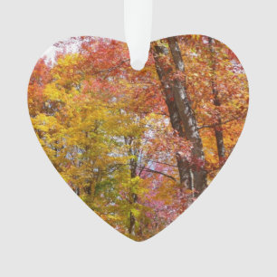 Oranje en gele Herfst Trees herfst Fotografie Ornament