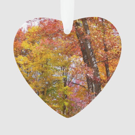 Oranje en gele Herfst Trees herfst Fotografie Ornament (voorkant)