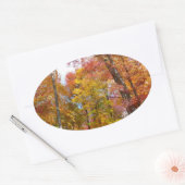 Oranje en gele Herfst Trees herfst Fotografie Ovale Sticker (Envelop)