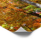 Oranje en gele Herfst Trees herfst Fotografie Poster (Hoek)