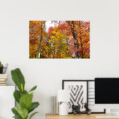 Oranje en gele Herfst Trees herfst Fotografie Poster (Thuiskantoor)