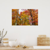 Oranje en gele Herfst Trees herfst Fotografie Poster (Keuken)