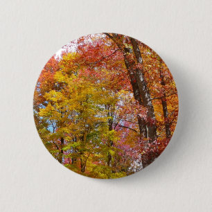 Oranje en gele Herfst Trees herfst Fotografie Ronde Button 5,7 Cm