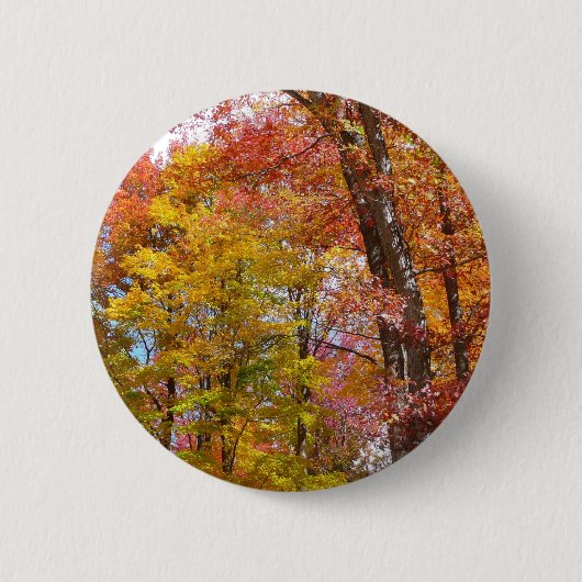 Oranje en gele Herfst Trees herfst Fotografie Ronde Button 5,7 Cm (Voorkant)