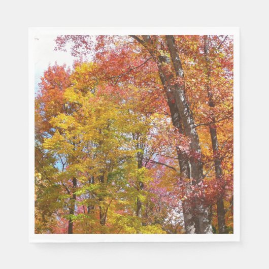 Oranje en gele Herfst Trees herfst Fotografie Servet (Voorkant)