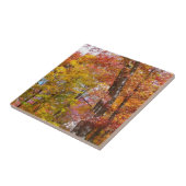 Oranje en gele Herfst Trees herfst Fotografie Tegeltje (Zijkant)