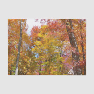 Oranje en gele Herfst Trees herfst Fotografie Tissuepapier