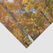 Oranje en gele Herfst Trees herfst Fotografie Tissuepapier (Detail)