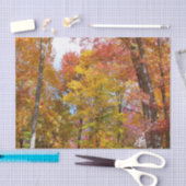 Oranje en gele Herfst Trees herfst Fotografie Tissuepapier (Craft)