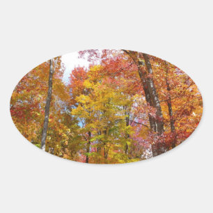 Oranje en Gele Herfstbomen Herfst Fotografie Ovale Sticker