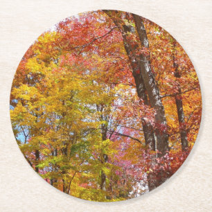 Oranje en Gele Herfstbomen Herfst Fotografie Ronde Kartonnen Onderzetter