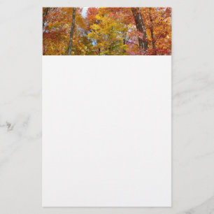 Oranje en gele herfstbomen Herfstfotografie Briefpapier
