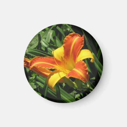 Oranje en gele leliemagneet magneet (Voorkant)