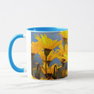 Oranje en gele Namaqualand madeliefjes Mok
