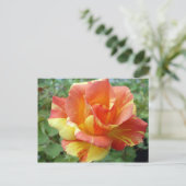 Oranje en gele Rose 1 Briefkaart (Staand voorkant)