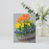 Oranje en gele tulpen afdrukbriefkaart briefkaart (Staand voorkant)