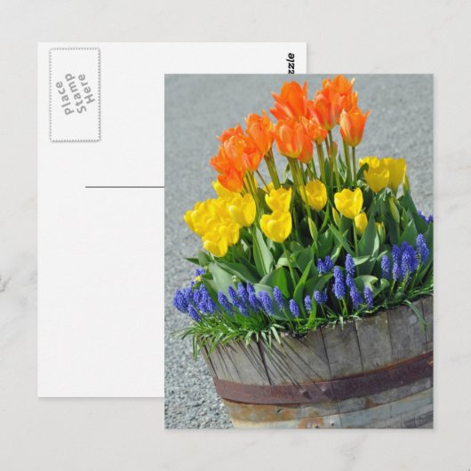 Oranje en gele tulpen afdrukbriefkaart briefkaart (Voorkant / Achterkant)