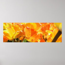 Oranje en gele Tulpen sluiten Poster