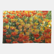 Oranje en gele tulpen