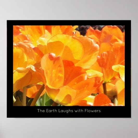 Oranje en gele Tulps Earth Laughes met Bloem Poster (Voorkant)