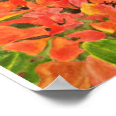 Oranje en gele Waterverf Bougainvillea Poster (Hoek)