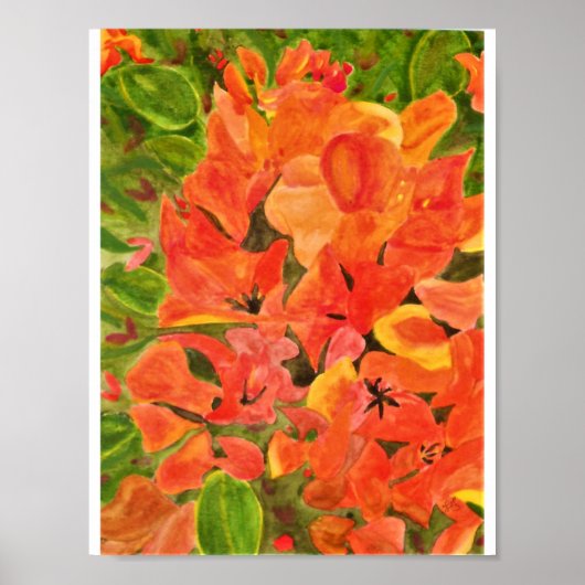 Oranje en gele Waterverf Bougainvillea Poster (Voorkant)