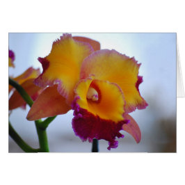 Oranje en gewelddadige Cattleya Orchid Card