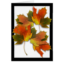 Oranje en gouden herfst