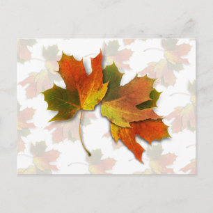 Oranje en gouden herfst briefkaart
